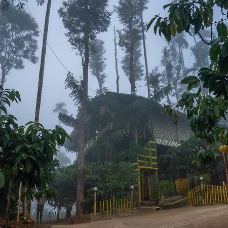 The Mountain Tree Home Ваянад Екстериор снимка