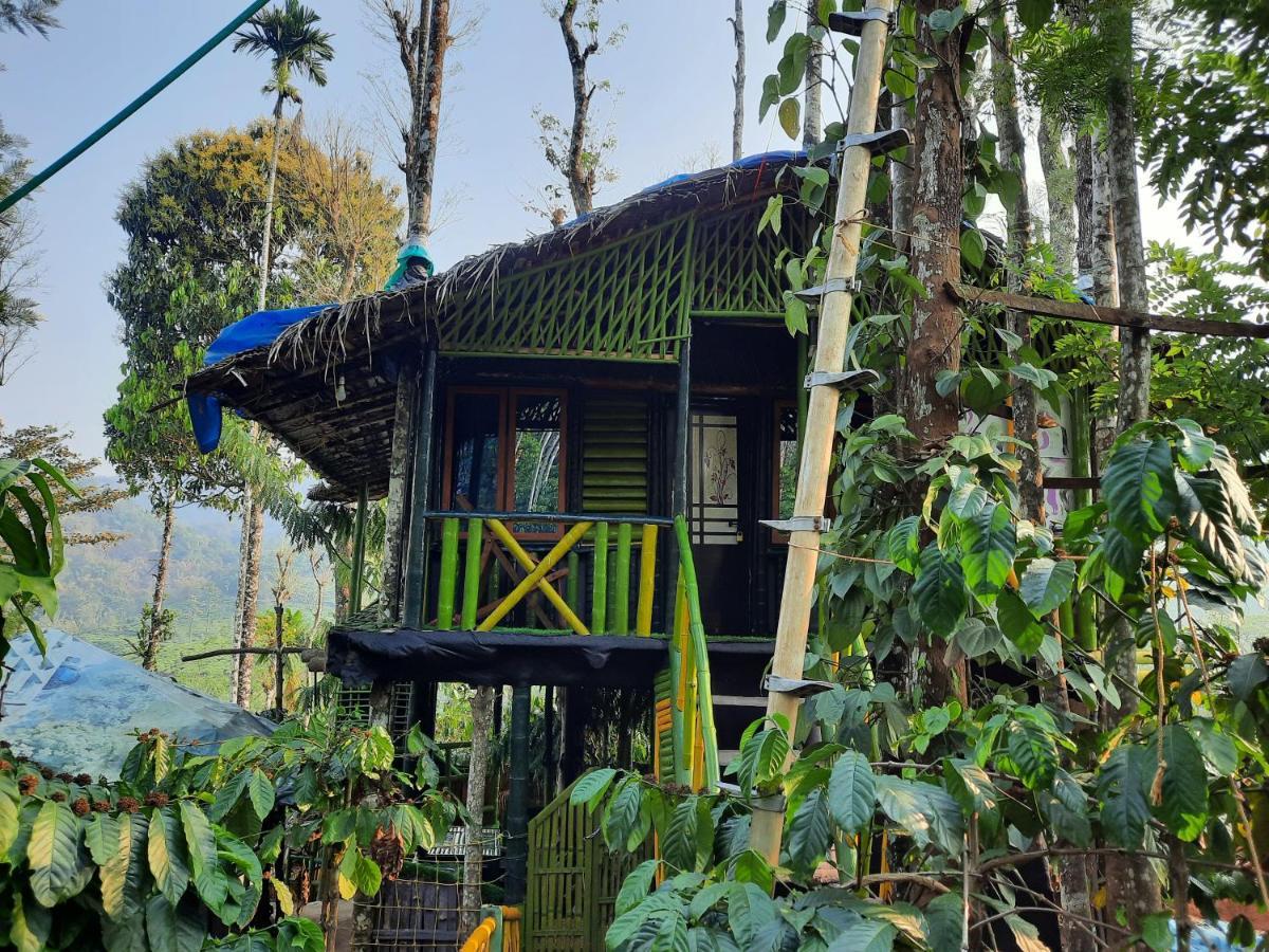 The Mountain Tree Home Ваянад Екстериор снимка