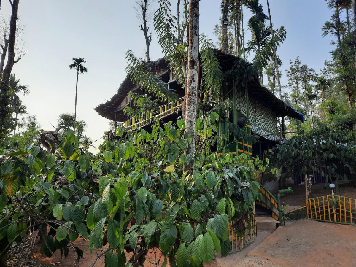 The Mountain Tree Home Ваянад Екстериор снимка