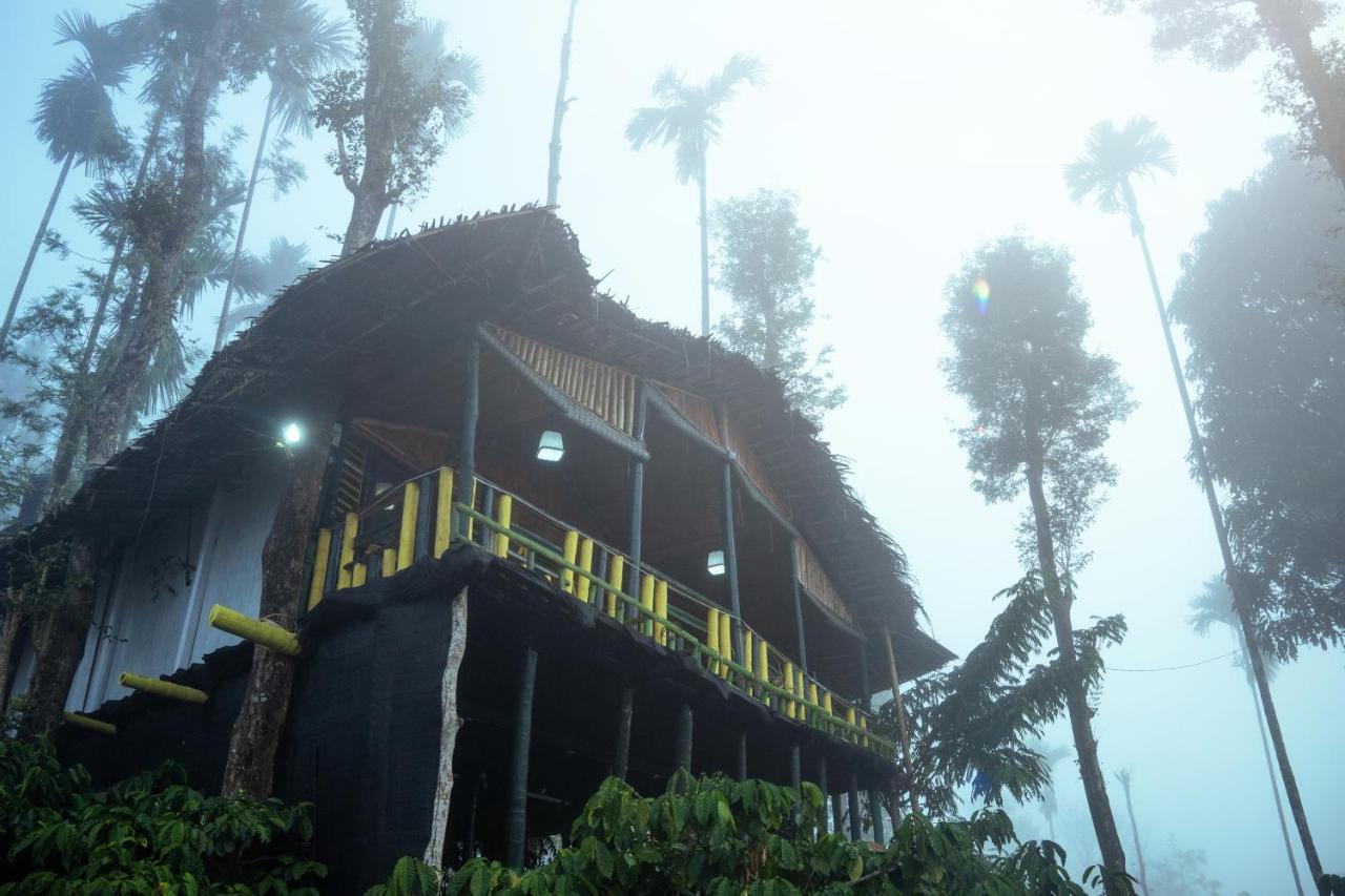 The Mountain Tree Home Ваянад Екстериор снимка