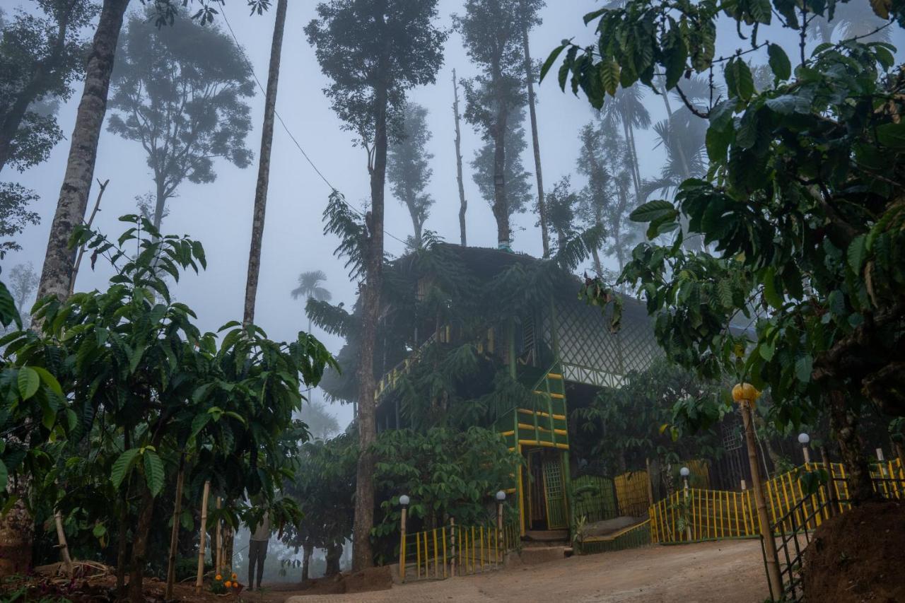 The Mountain Tree Home Ваянад Екстериор снимка