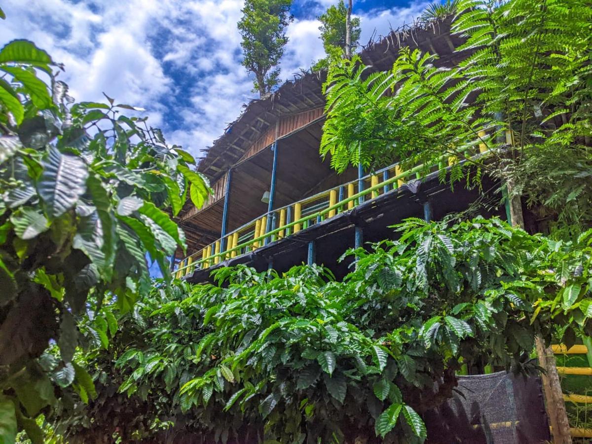 The Mountain Tree Home Ваянад Екстериор снимка