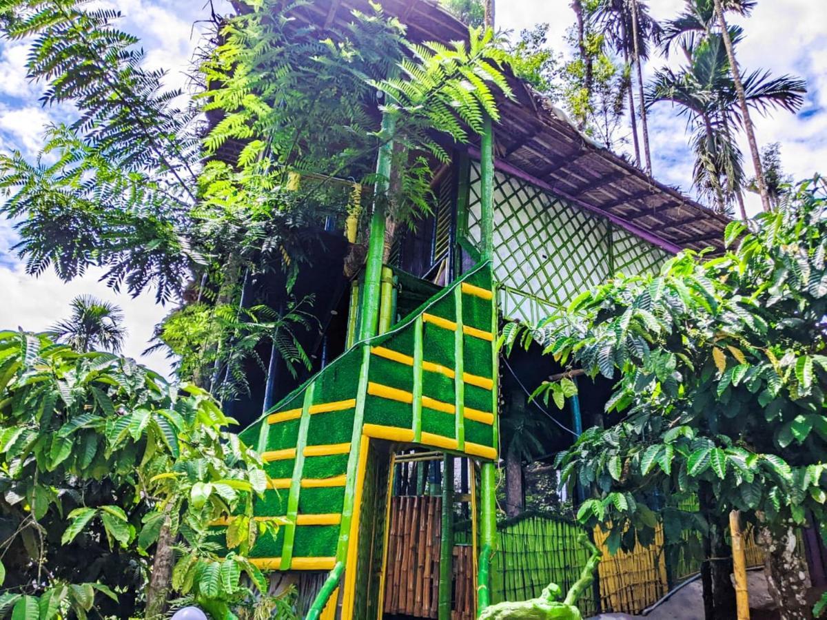 The Mountain Tree Home Ваянад Екстериор снимка